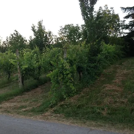 Agriturismo La Cavaliera