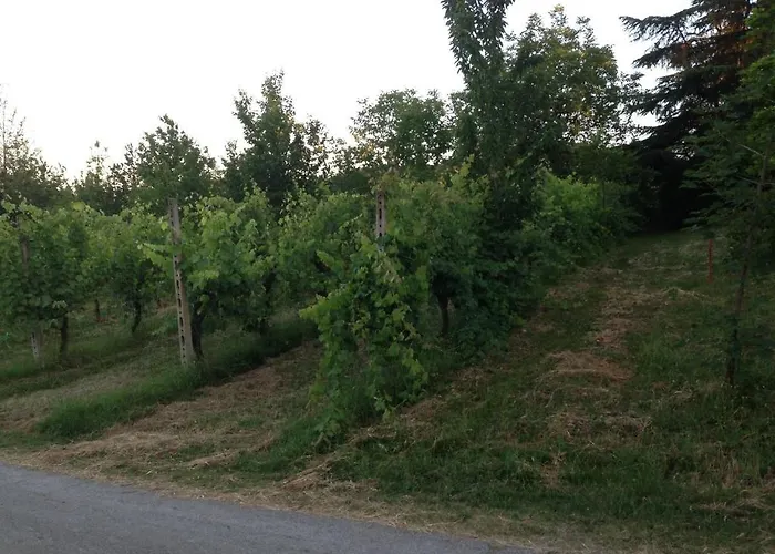 Agriturismo La Cavaliera